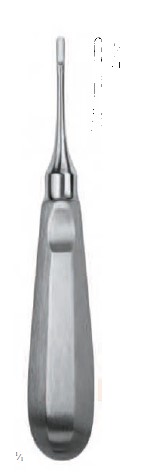 APİCAL ROOT ELEVATÖR